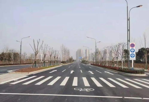 舒城城區交通設施建設全面提速，織密安全出行網